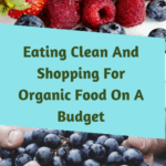 Eating Clean And Shopping For Organic Food On A Budget